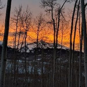 Meet your Posher, Tracie